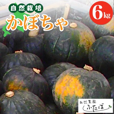 【10月～配送開始】北海道十勝芽室町　自然菜園ふたば　宇佐美亮のかぼちゃ6kg　me074-004c