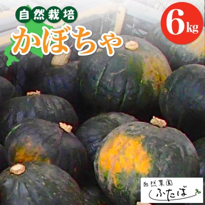 【10月～配送開始】北海道十勝芽室町　自然菜園ふたば　宇佐美亮のかぼちゃ6kg　me074-004c