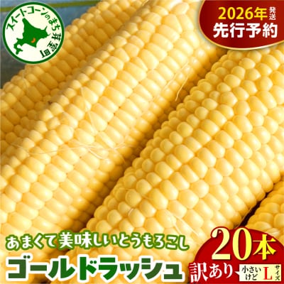 【訳あり】【先行受付】北海道十勝芽室町 とうもろこし ゴールドラッシュ20本　me078-009c