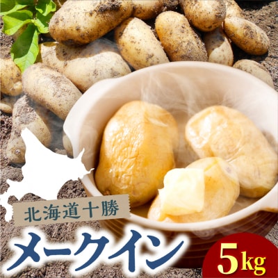 【2025年10月下旬より出荷】北海道芽室町 メークイン Mサイズ5kg me078-008c-26