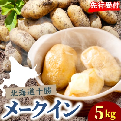【先行受付】【2026年10月下旬より順次出荷】北海道 十勝芽室町 メークイン Mサイズ5kg 