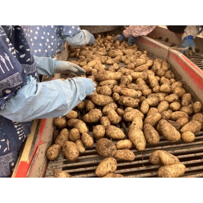 【2025年10月下旬より順次出荷】北海道 十勝芽室町 メークイン Mサイズ5kg me078-00