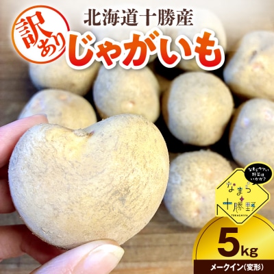 【訳あり】北海道十勝芽室町 農家応援じゃがいも メークイン(変形)5kg　me001-050c-2
