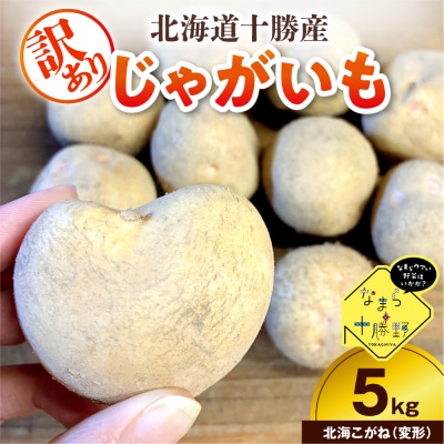 【訳あり】北海道十勝芽室町 農家応援じゃがいも 北海こがね(変形)5kg　me001-050c-3