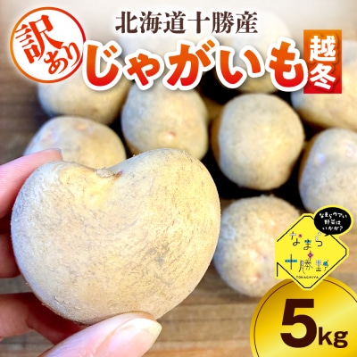 【訳あり】北海道十勝芽室町 農家応援じゃがいも(越冬)5kg 北海こがね(変形)