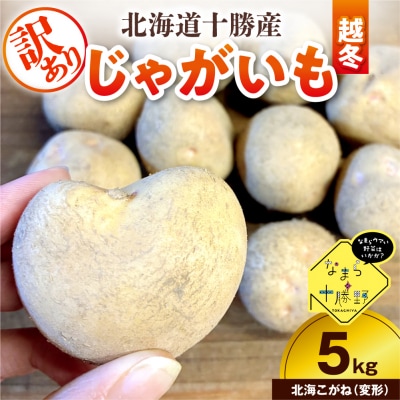 【訳あり】北海道十勝芽室町 農家応援じゃがいも(越冬)5kg　北海こがね(変形)