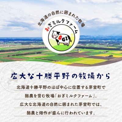 4月発送 北海道十勝芽室町 牧場チーズ2種類セット me020-005c-4