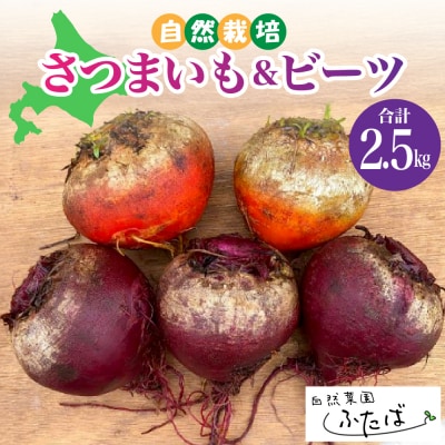 【2月より順次発送】自然菜園ふたば さつまいもとビーツセット2.5kg　me074-009c