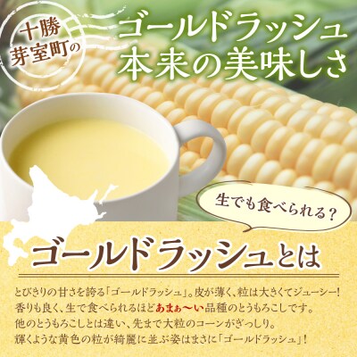 北海道十勝芽室町 十勝産ゴールドラッシュのコーンスープ 　16袋　me003-030c-16