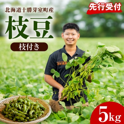 【2026年8月より発送】産地直送!北海道十勝芽室町 枝付き枝豆 5kg me081-001c