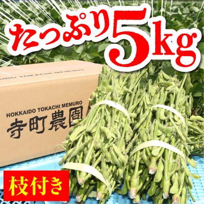 【2026年8月より発送】産地直送!北海道十勝芽室町 枝付き枝豆 5kg me081-001c