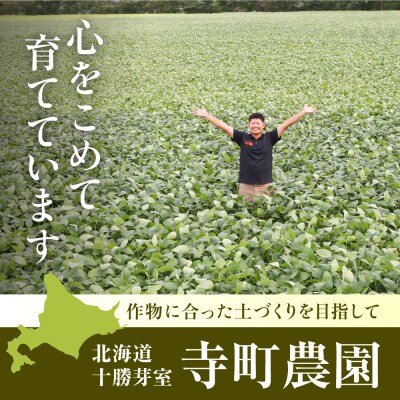 【2026年8月より発送】産地直送!北海道十勝芽室町 枝付き枝豆 5kg me081-001c