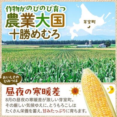 【先行受付】2026年産ファームミリオンの極甘スイートコーン2色セット(イエロー・ホワイト)10kg