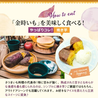 【先行受付】【10月上旬より配送】北海道十勝芽室産 さつまいも 金時4kg