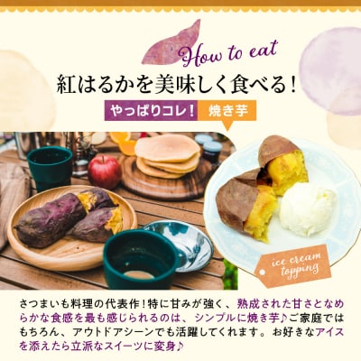 【先行受付】【10月上旬より配送】北海道十勝芽室産 さつまいも 紅はるか 4kg