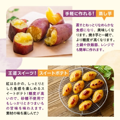 【先行受付】【10月上旬より配送】北海道十勝芽室産 さつまいも 紅はるか 4kg