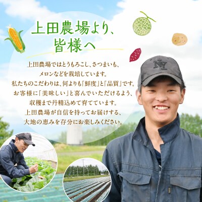 【先行受付】北海道十勝芽室町 とうもろこし ゴールドラッシュ 13本 me089-001c