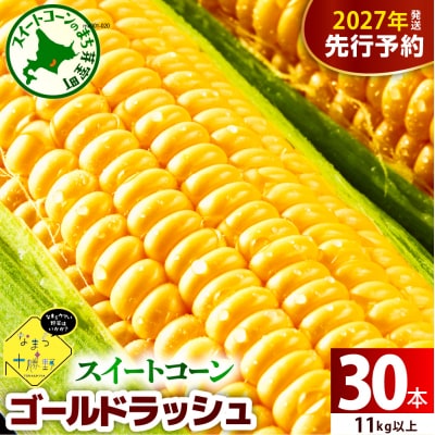【先行受付】なまら十勝野のスイートコーン ゴールドラッシュ30本 me001-011-27b
