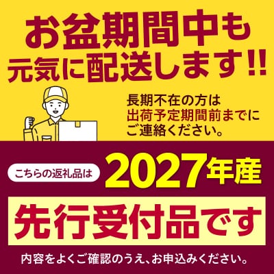 【先行受付】なまら十勝野のスイートコーン ゴールドラッシュ30本 me001-011-27b