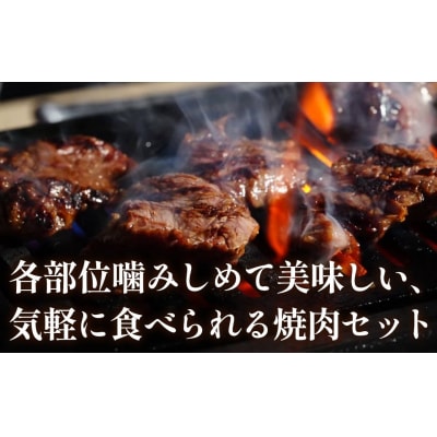 知床牛焼肉セット計約600g(カタ・モモ・バラ) OSG005