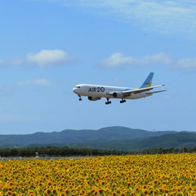 【北海道大空町】旅行割引クーポン券30,000円分  OST003