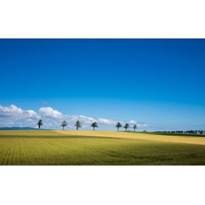 【北海道大空町】旅行割引クーポン券45,000円分  OST004