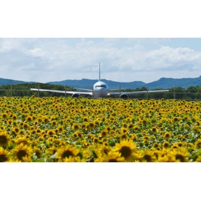 【北海道大空町】旅行割引クーポン券45,000円分  OST004