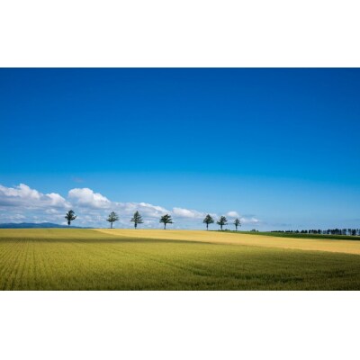 【北海道大空町】旅行割引クーポン券60,000円分 OST005