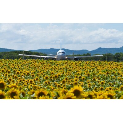 【北海道大空町】旅行割引クーポン券60,000円分 OST005