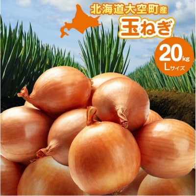 【先行予約】玉ねぎ Lサイズ 20kg 大空町産(2026年11月以降順次発送) OSR009