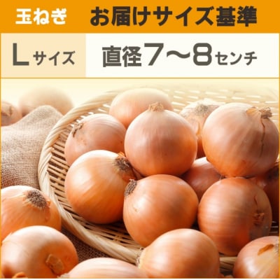 【先行予約】玉ねぎ Lサイズ 20kg 大空町産(2026年11月以降順次発送) OSR009