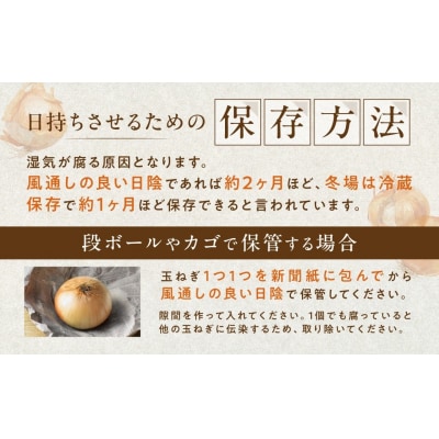 【先行予約】玉ねぎ Lサイズ 20kg 大空町産(2026年10月上旬より発送) 
