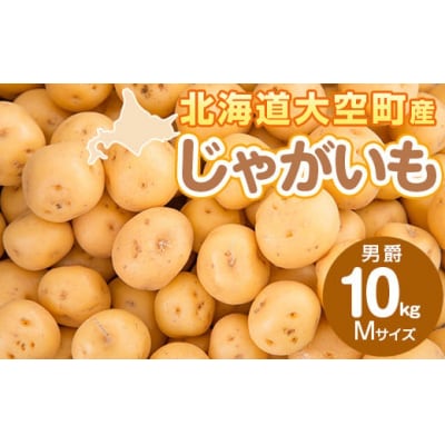 じゃがいも(男爵) Mサイズ 10kg 大空町産