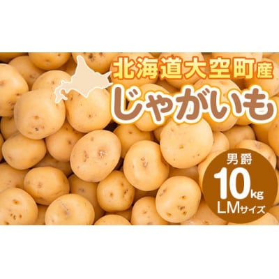 じゃがいも(男爵) LMサイズ 10kg 大空町産