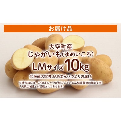 【先行予約】じゃがいも(ゆめいころ)LMサイズ 10kg 大空町産(2026年10月以降順次発送)