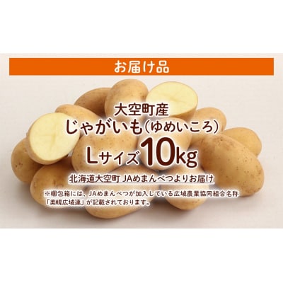 【先行予約】じゃがいも(ゆめいころ) Lサイズ 10kg 大空町産(2026年10月以降順次発送)