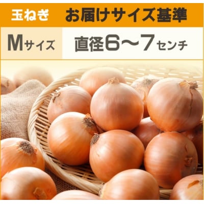 【先行予約】玉ねぎ Mサイズ 20kg 大空町産(2026年11月以降順次発送) OSR010