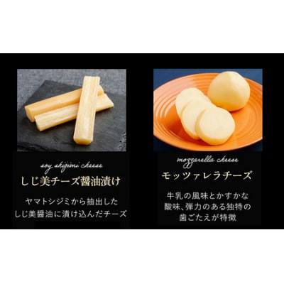 ひがしもこと乳酪館 チーズ食べ比べセット 6種 B OSA006