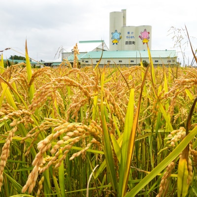 【令和7年産 先行受付】ゆめぴりか ななつぼし 食べ比べセット 玄米 10kg(5kg×各1袋)