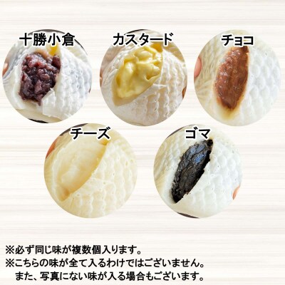 もちもち 白い たいやき 13匹 セット
