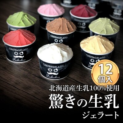 北海道産 生乳 ジェラート アイス 12個入り ジェラートセット