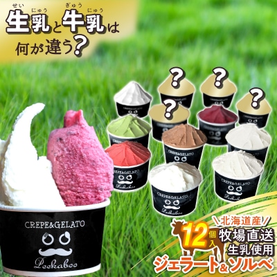北海道産 生乳 ジェラート アイス 12個入り ジェラートセット