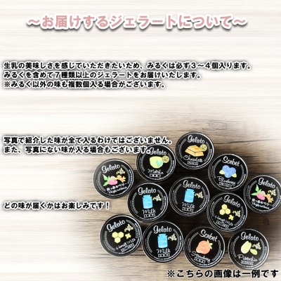 北海道産 生乳 ジェラート アイス 12個入り ジェラートセット