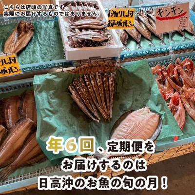 <定期便6回>北海道産 旬の魚介 4~5種 お楽しみ定期便