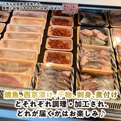 <定期便6回>北海道産 旬のお魚 4~5種 お楽しみ定期便