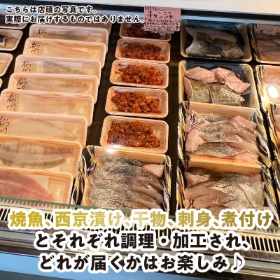 ＜定期便6回＞北海道産 旬のお魚 4~5種 お楽しみ定期便