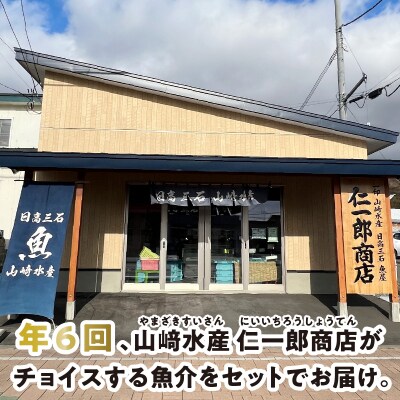 <定期便6回>北海道産 旬のお魚 4~5種 お楽しみ定期便