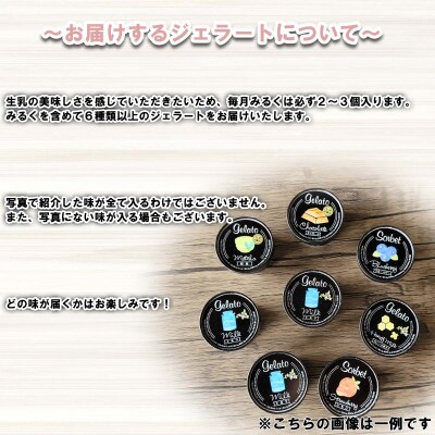 ＜6ヶ月定期便＞北海道産 生乳 ジェラート アイス 毎月8個 詰め合わせ ジェラートセット