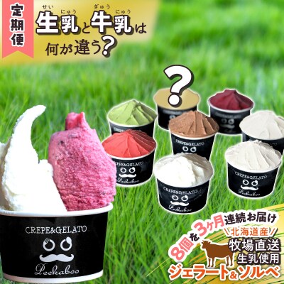 ＜3ヶ月定期便＞北海道産 生乳 ジェラート アイス 毎月8個 詰め合わせ ジェラートセット