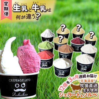 ＜3ヶ月定期便＞北海道産 生乳 ジェラート アイス 毎月12個 詰め合わせ ジェラートセット